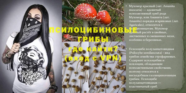 мяу мяу мука Армянск