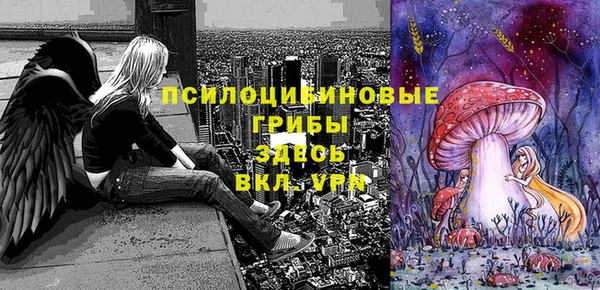 MESCALINE Арсеньев
